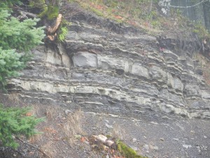 DSCN0270-1 (dragged)