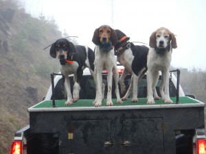 DSCN0277-1 (dragged)