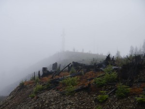 DSCN0281-1 (dragged)