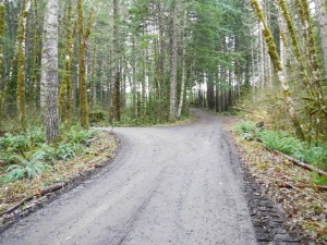 DSCN0282-1 (dragged)